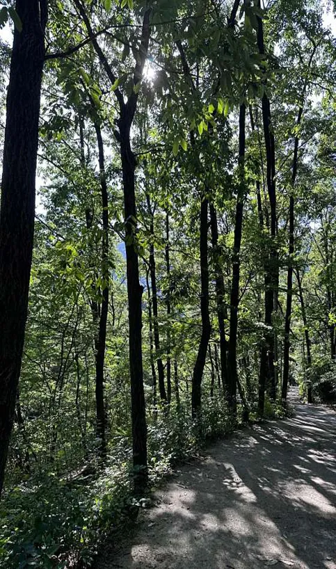 산청 백운동계곡