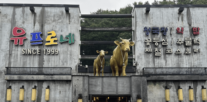토밥 토요일은 밥이 좋아 함평한우 흑산도 홍어회 용인 처인구 맛집