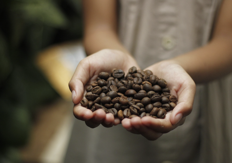 커피 대신 이것?! 집중력 2배 높여주는 건강 음료 5가지