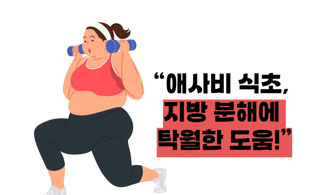 애사비 식초 효능