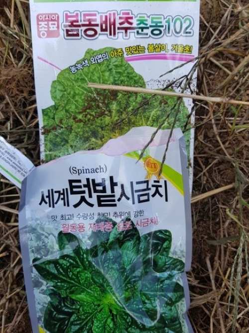 종묘사 봉투에 봄동과 시금치 씨앗이 들어있다.