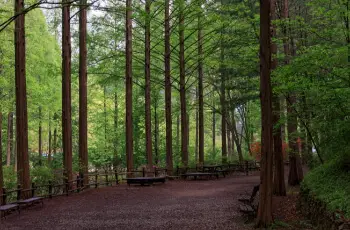 장태산 자연휴양림_12