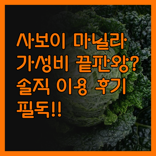 사보이 마닐라.. 가성비 끝판왕? 솔