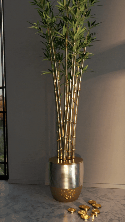 돈이 들어오는 풍수 아이템