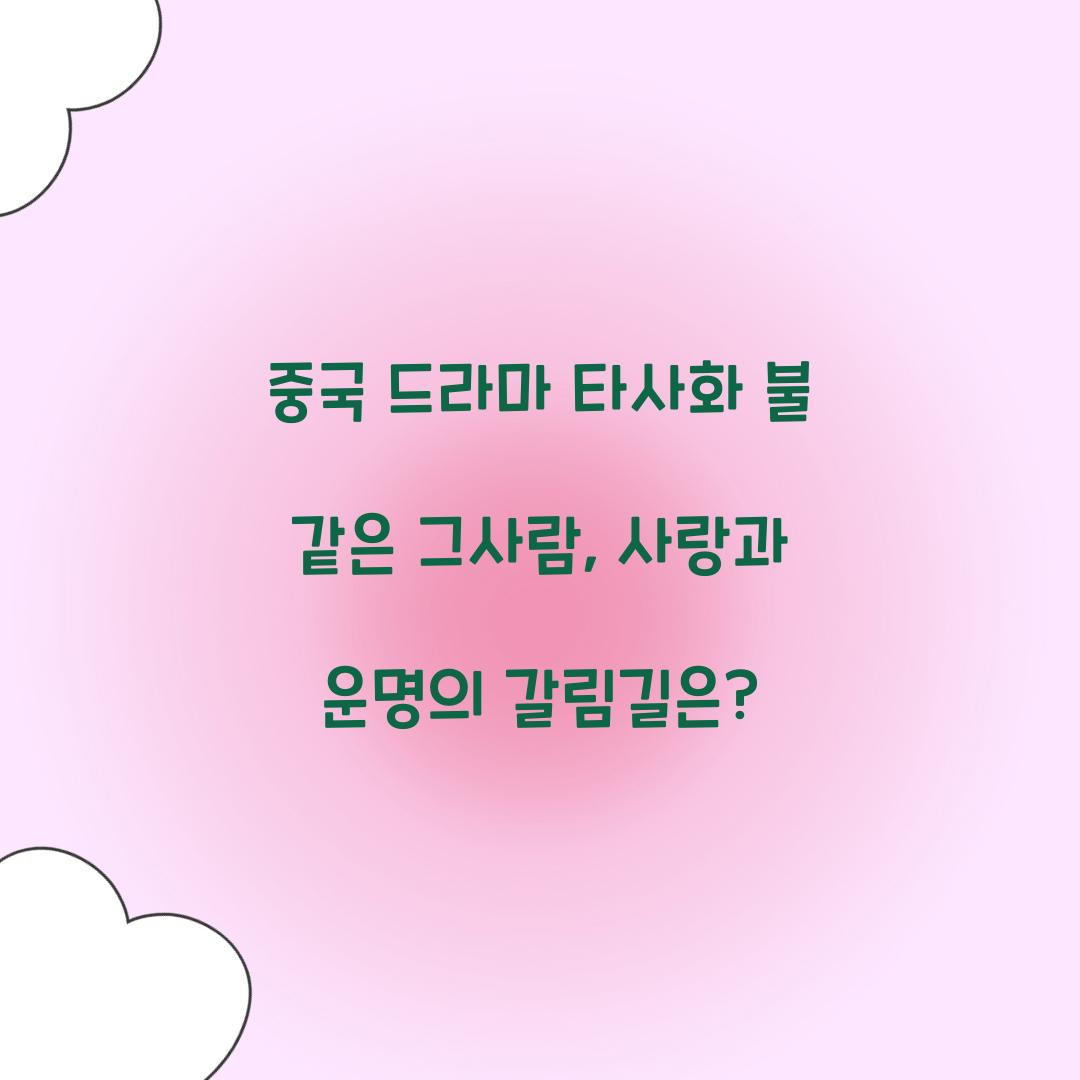 중국 드라마 타사화 불 같은 그사람