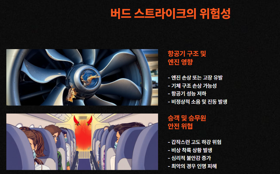 버드 스트라이크 위험성