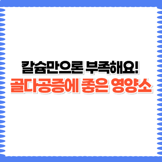 골다공증에 좋은 영양제 추천｜칼슘 외에도 꼭 필요한 5가지 영양소