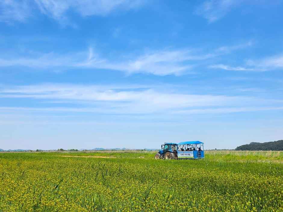 진봉새만금보리밭축제 2026 일정