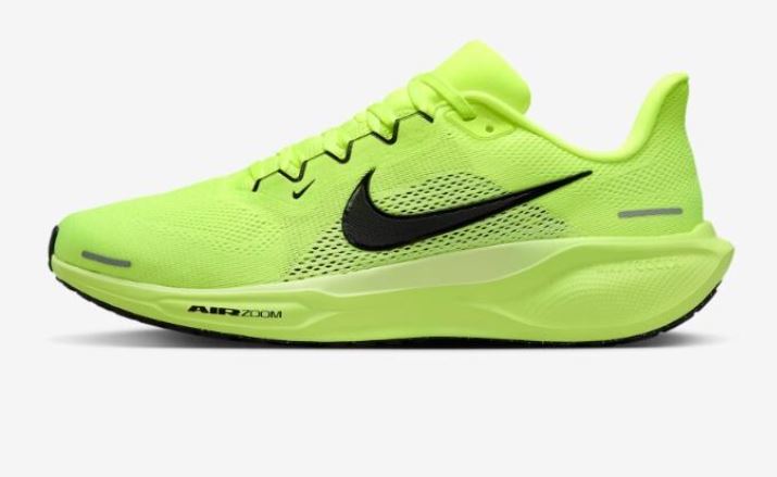 나이키 페가수스 41