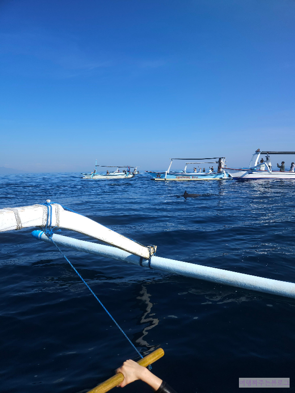 #발리공항픽업 #발리여행