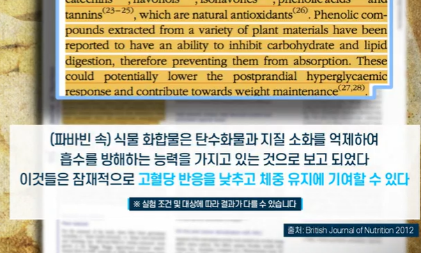 자이언트 파바빈 효능