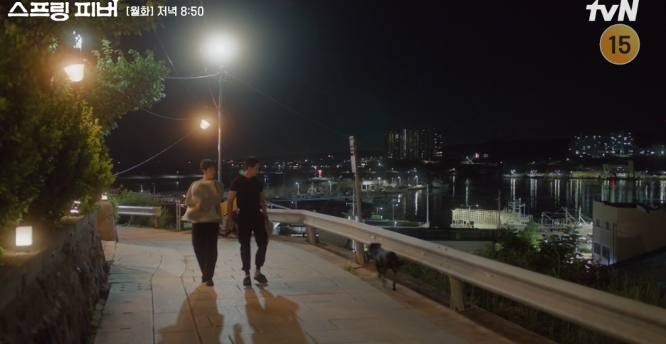 스프링 피버 등장인물 관계 내용