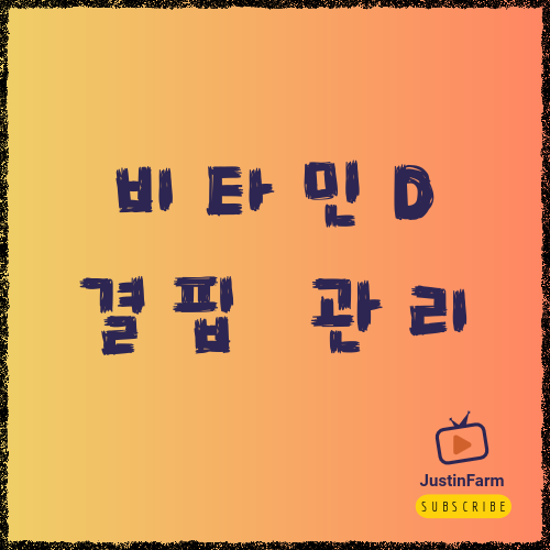 비타민D 부족 증상과 적정 섭취 가이드, 놓치기 쉬운 햇빛 영양소