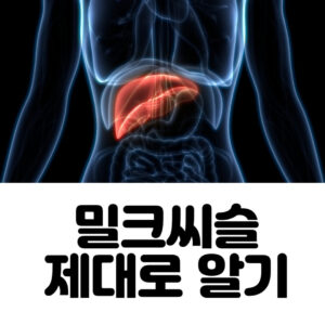 밀크씨슬 효능