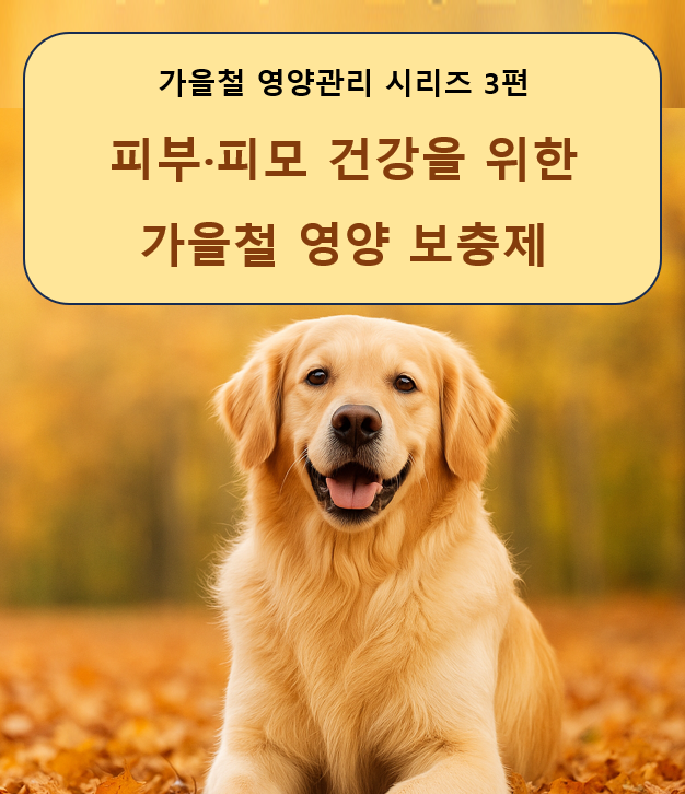 강아지 피부·피모 건강을 위한 가을철 영양 보충제 이미지