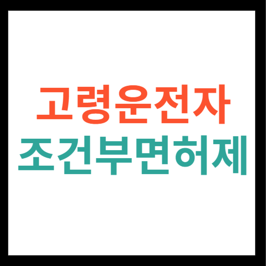 고령 운전자 조건부 면허제