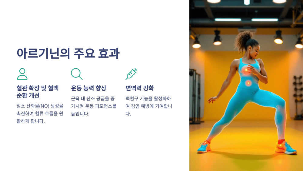 아르기닌의 주요 효과