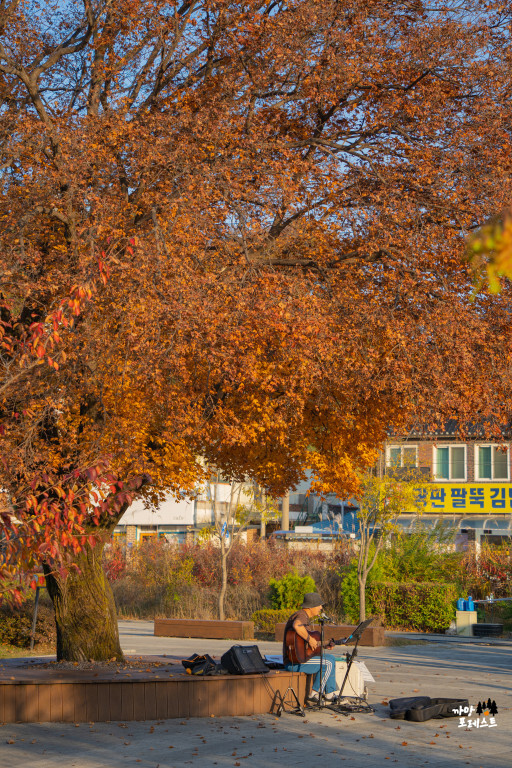 춘천 김유정역 폐역 가을