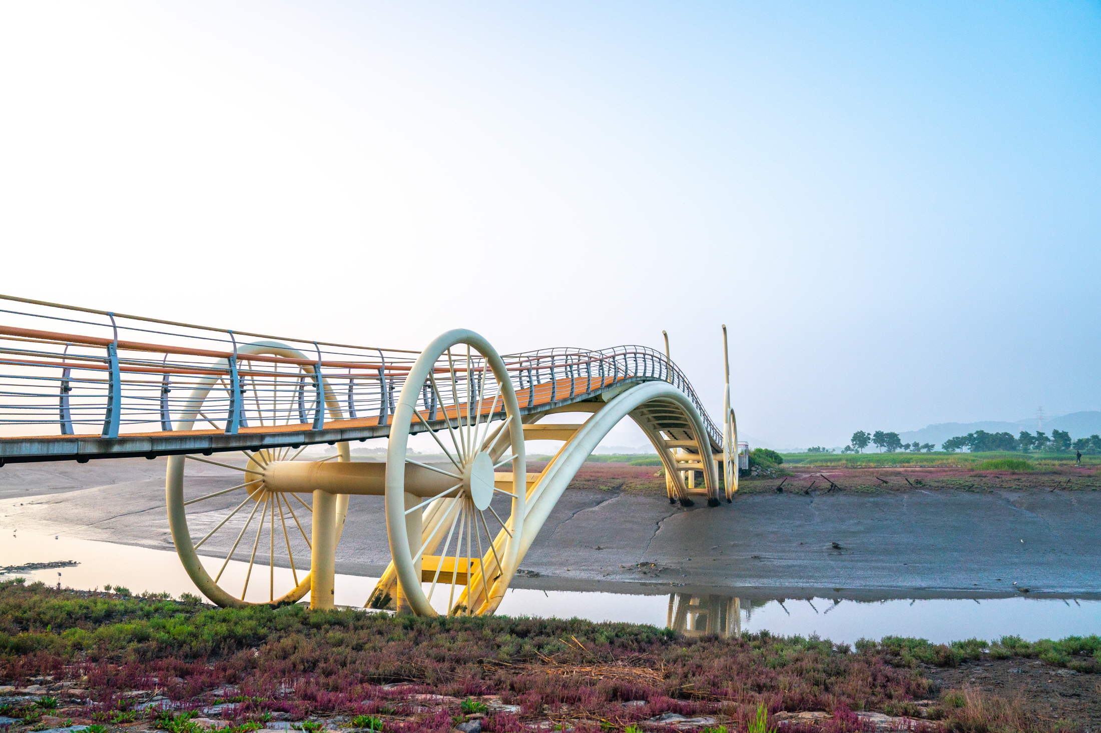 미생의 다리 모습