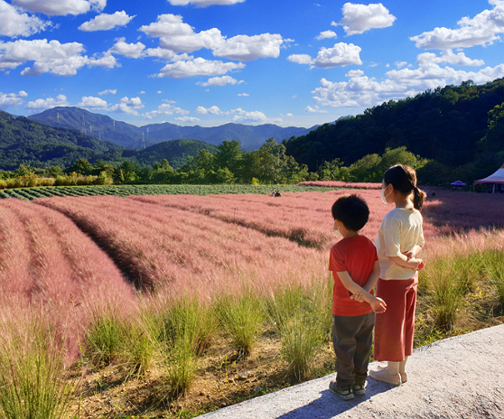 포천-허브아일랜드-입장료