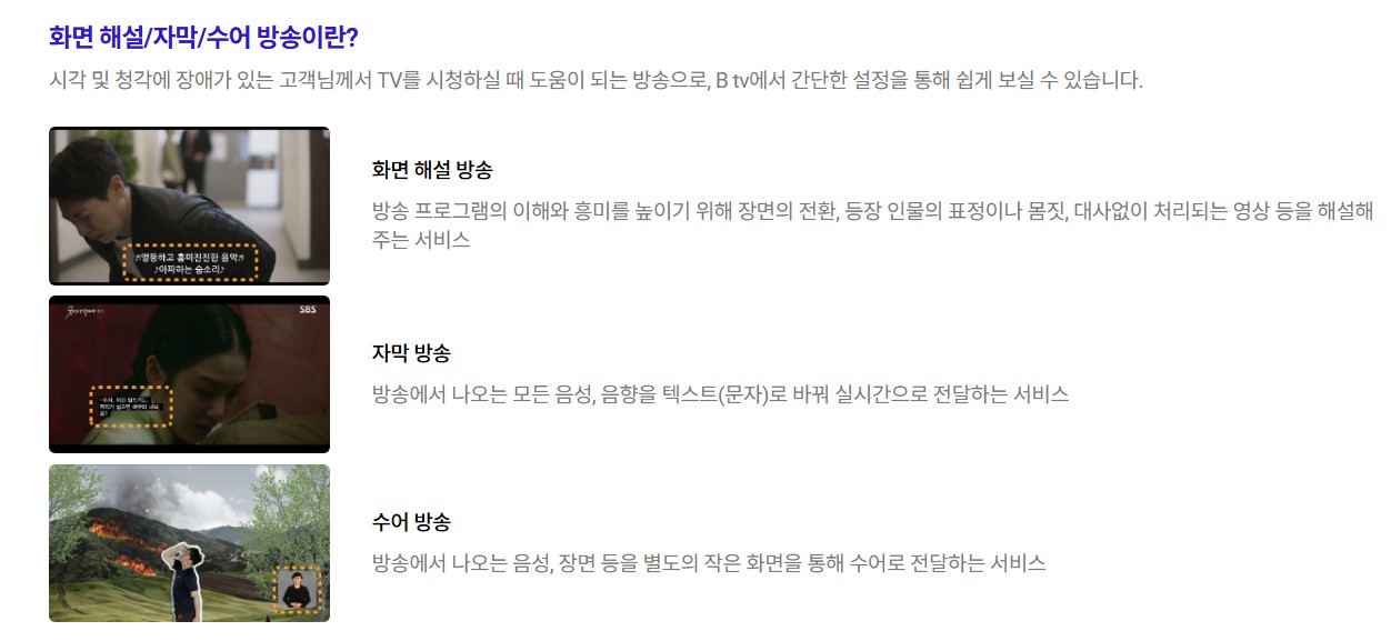 장애인 맞춤형 방송종류