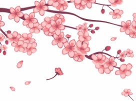 일본-벚꽃-개화시기-3