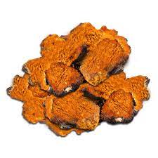 차가버섯의 효능 알아보기