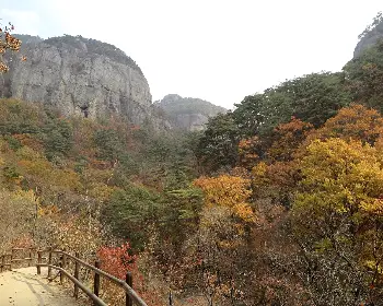 주왕산 국립공원 단풍_6