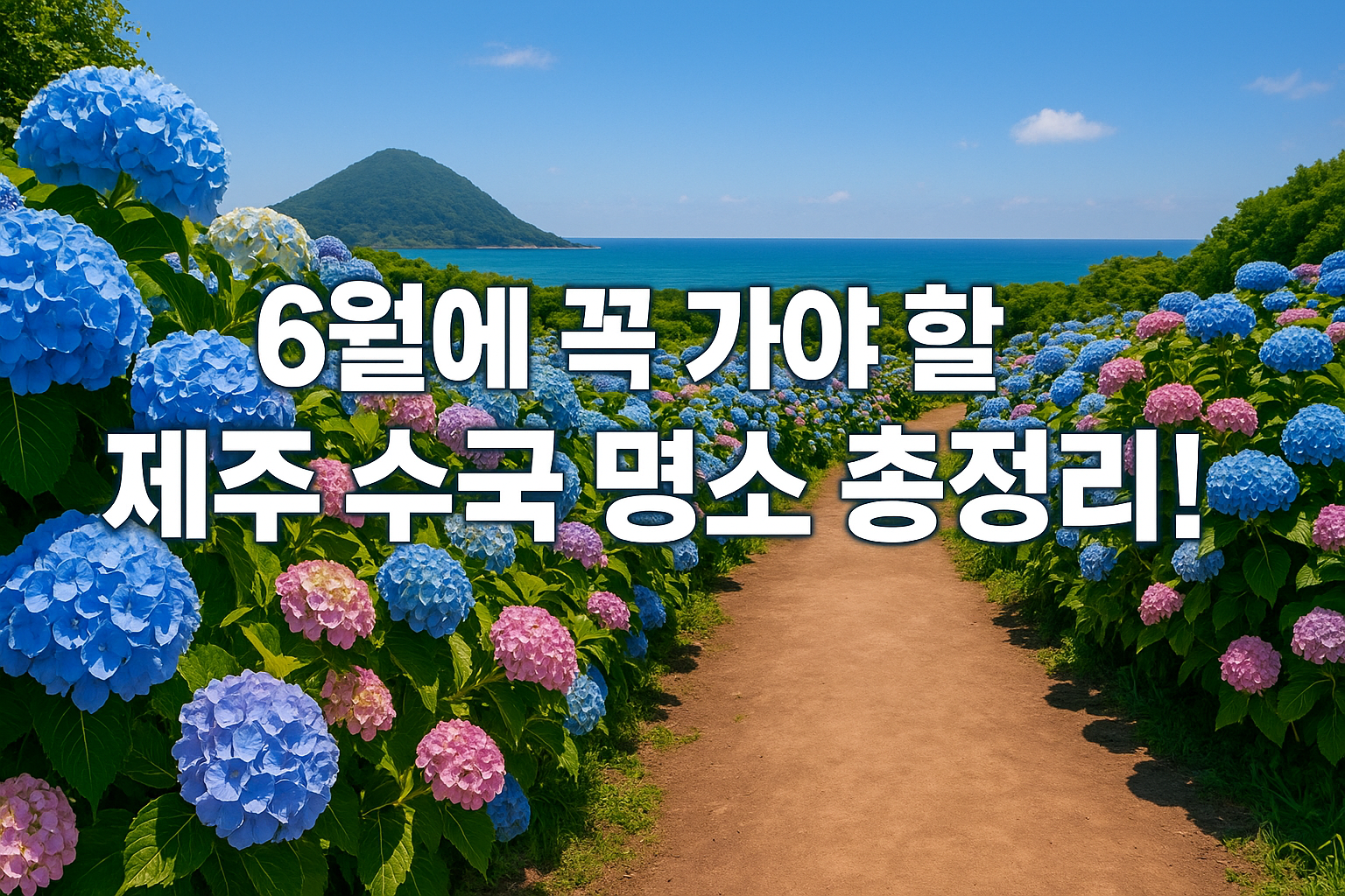 제주도 수국 개화시기 & 6월 수국 명소 여행지 추천