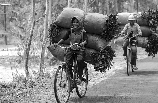 농협고향사랑카드, 고향사랑기부제 참여
