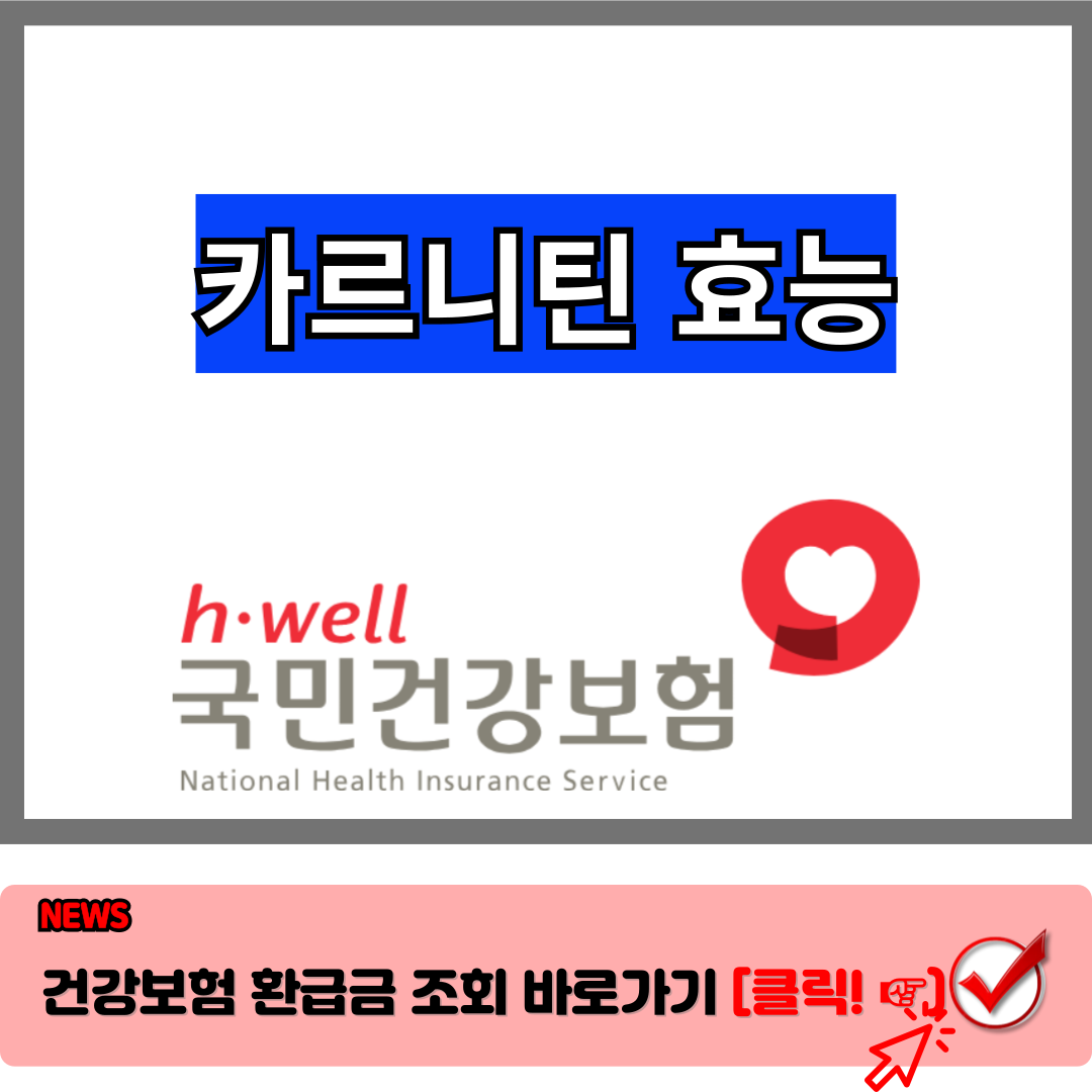 카르니틴 효능 총정리 우리 몸에 활력을 더하고 싶다면 놓칠 수 없는 정보! a