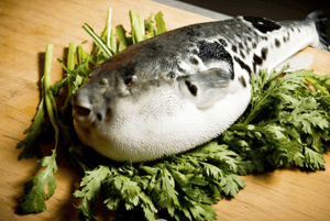 숙취해소효능26