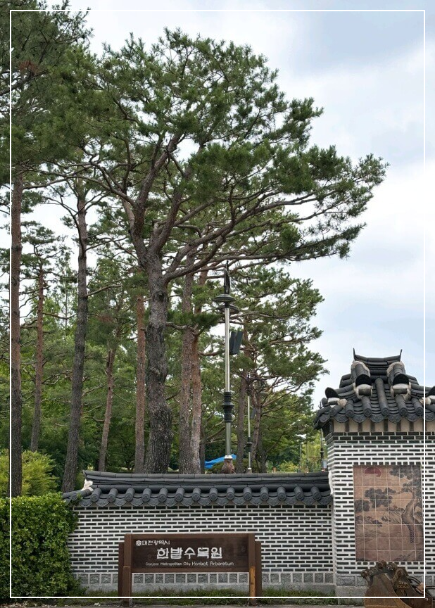 대전 가볼만한곳 베스트10 대전시립미술관