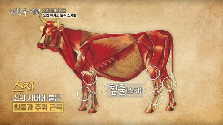 전현무계획 16회 26년 인천 맛집 스지탕 스지 무침 모둠전