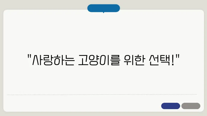 고양이 중성화 수술, 해야 할까? 장단점 완벽 분석