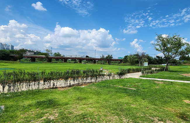 광주광역시 서구 덕흥파크골프장 소개