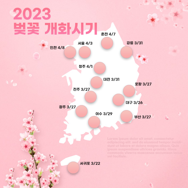 2023 벚꽃 개화시기