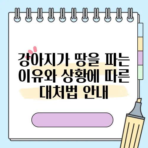 강아지가 땅을 파는 이유와 상황에 따른 대처법 안내