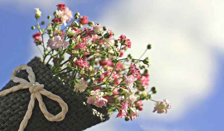 하늘향한-안개-꽃다발