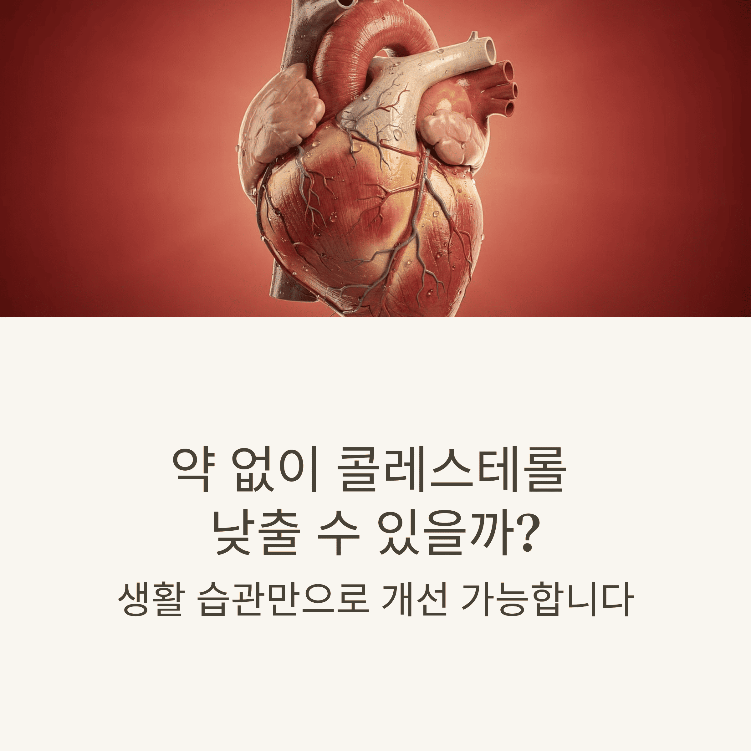 고지혈증 약 없이 낮추는 법