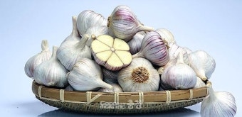 서산 감자축제&amp;#44; 서산 마늘축제