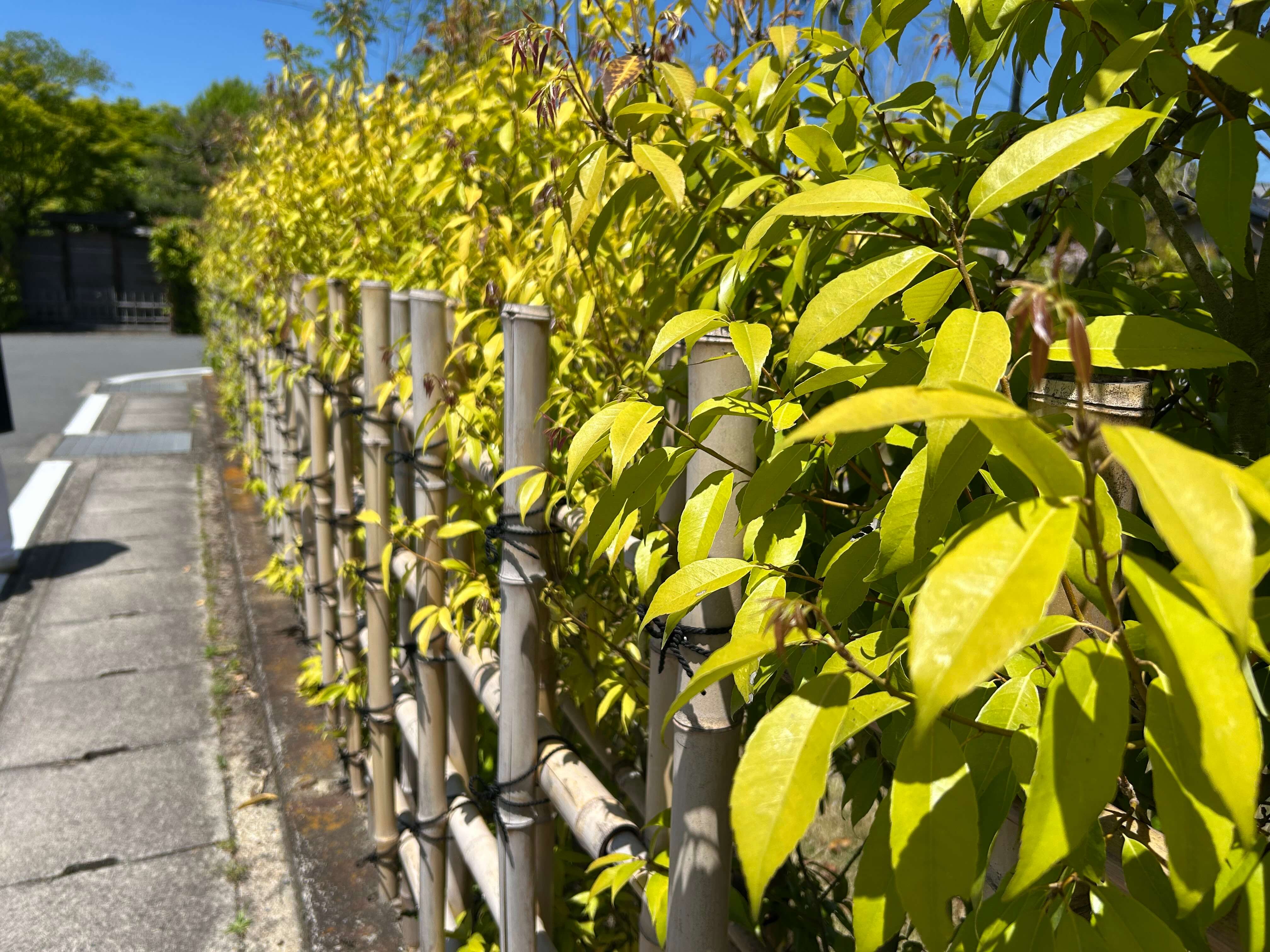 오사카·교토 3박4일 여행자를 위한 교통패스 정리 관련사진
