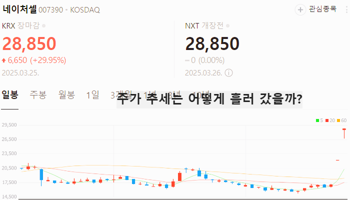 mRNA 백신 관련주 대장주 테마주 TOP5
