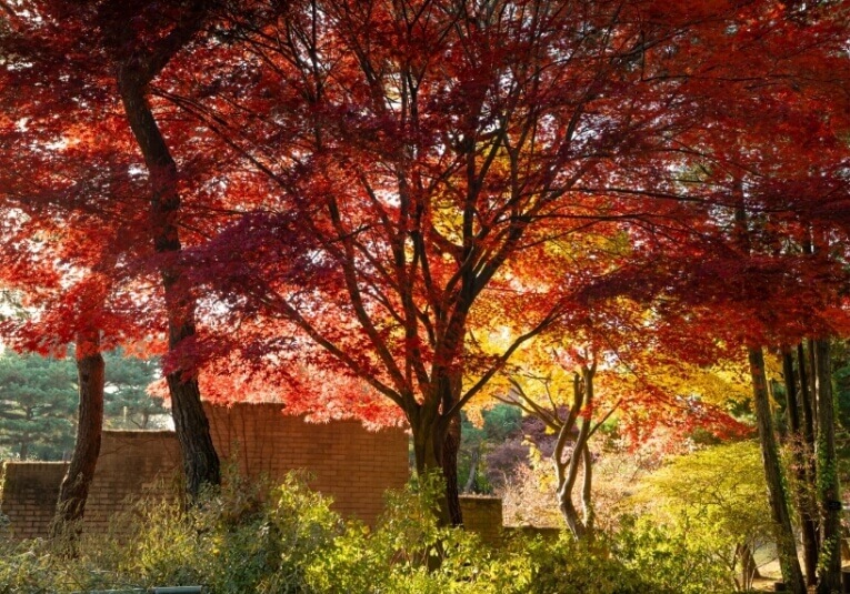 전주 가볼만한곳 베스트 10