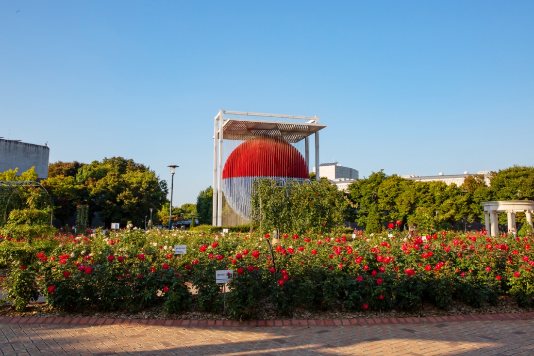 서울 올림픽공원 들꽃마루 꽃양귀비 장미광장