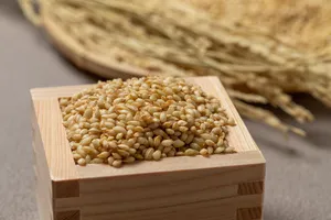 탈모에-좋은-음식