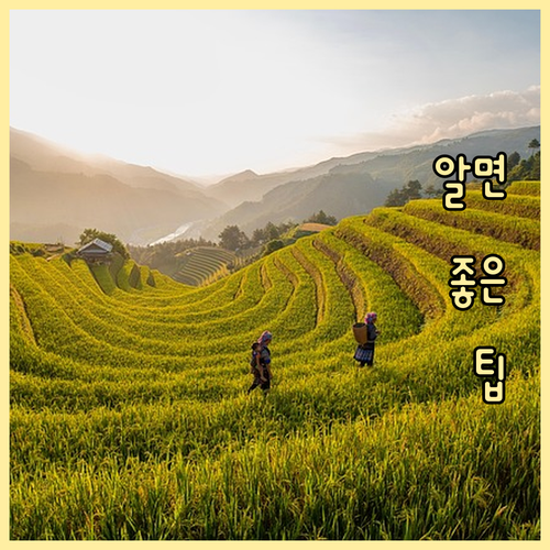 관산동 생활폐기물 배출, 이 정보로 ..