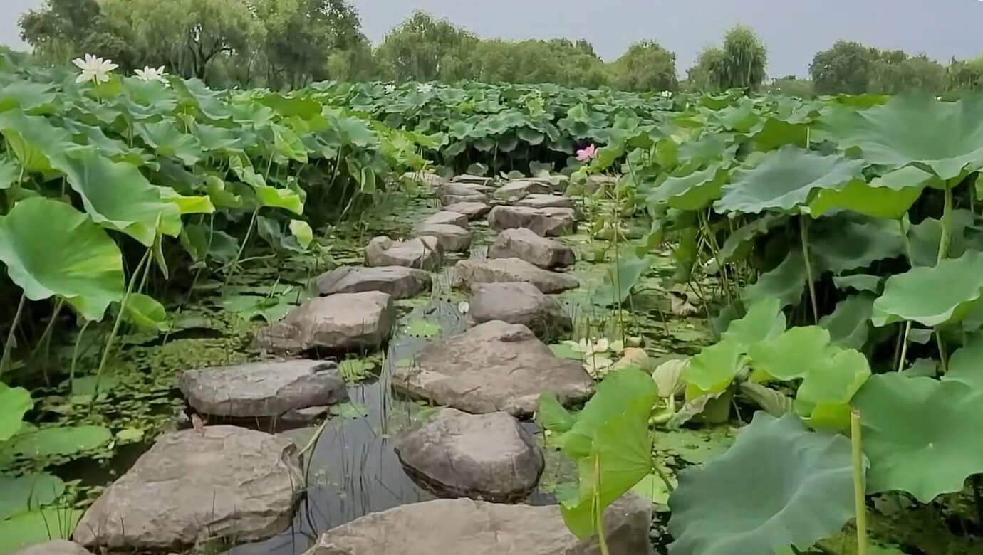 서동공원-궁남지