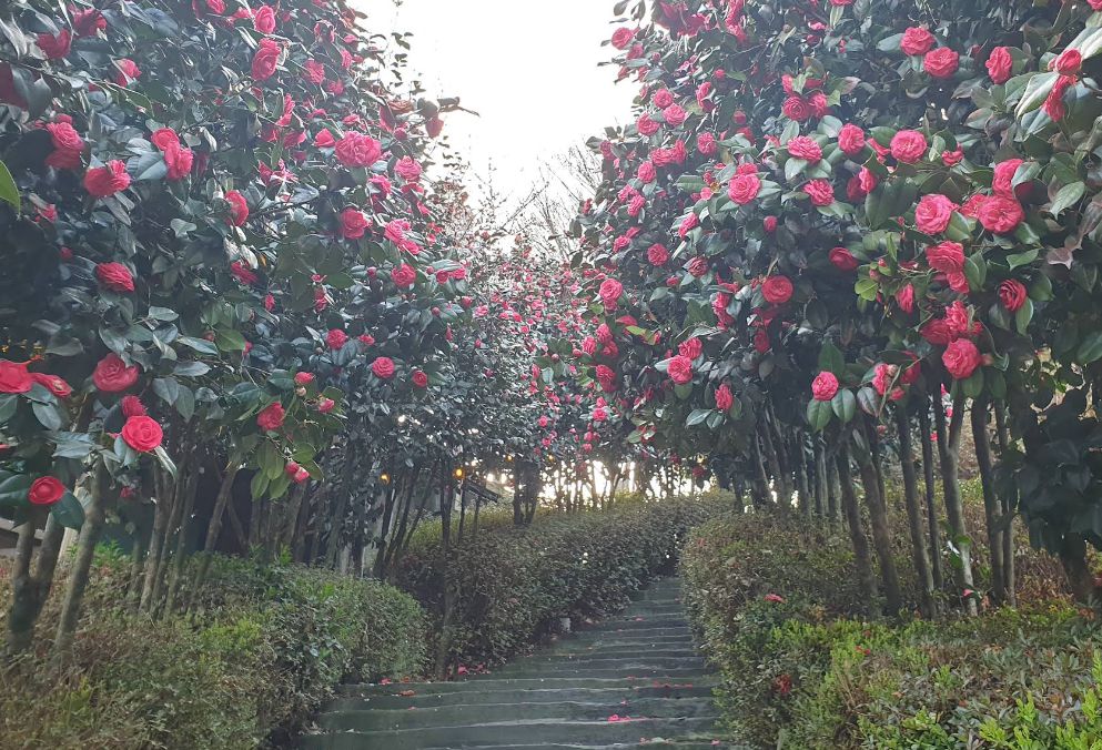 달빛소리 수목원