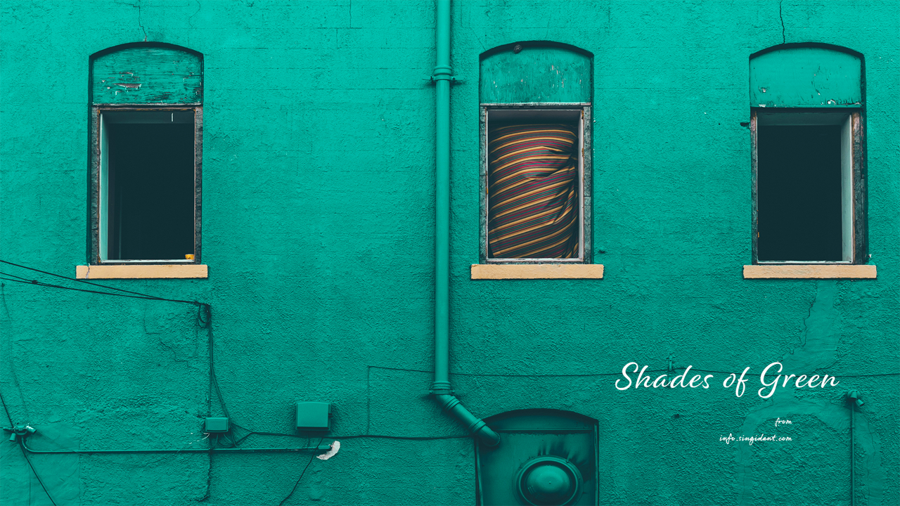 02 짙은 녹색 벽 C - Shades of Green 청록색배경화면